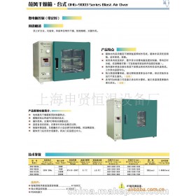 250度台式电热恒温鼓风烤箱DHG-9023A 烤箱 小型烤箱 干燥箱