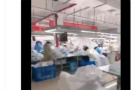 LV消毒液来了 劳斯莱斯呼吸机在路上 西班牙卫生部长为口罩落泪Zara：我来造！