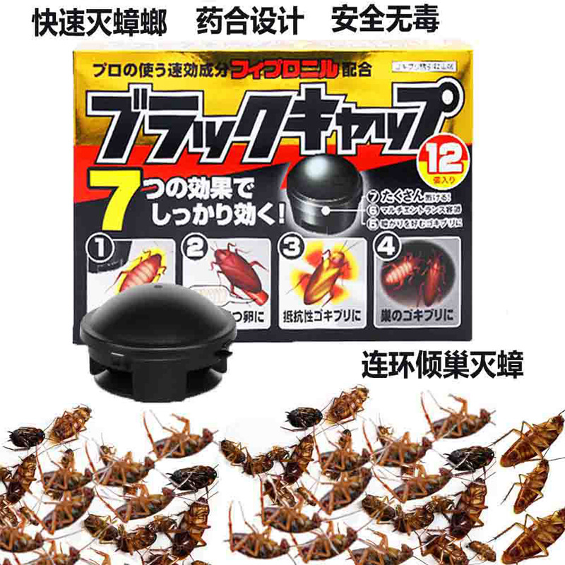 日本蟑螂屋蟑螂药小黑帽家用安全无毒强力灭蟑粉环保12枚