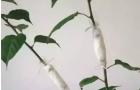 上海中商网络：运用日化品防伪标签的好处