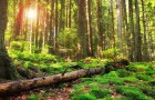 北京市科委、中关村管委会一级巡视员张虹一行到绿伞生产基地调研指导