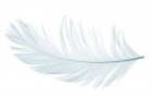 科莱恩和印度乙二醇公司成立EO衍生物合资公司